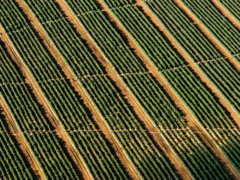 DarnElvesRitalon Córdoba