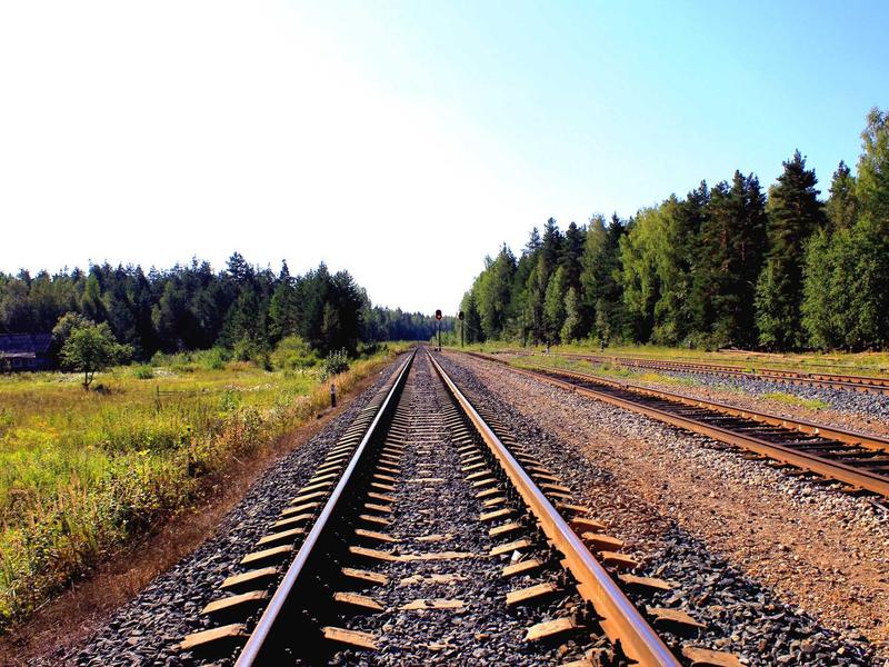 DarnElvesRitalon Córdoba